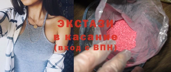 стаф Аркадак