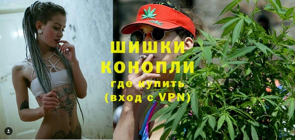спайс Арсеньев