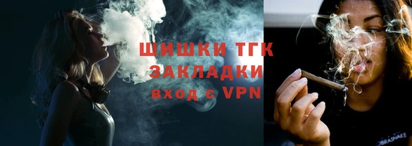 стаф Аркадак