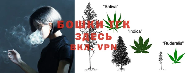 стаф Аркадак