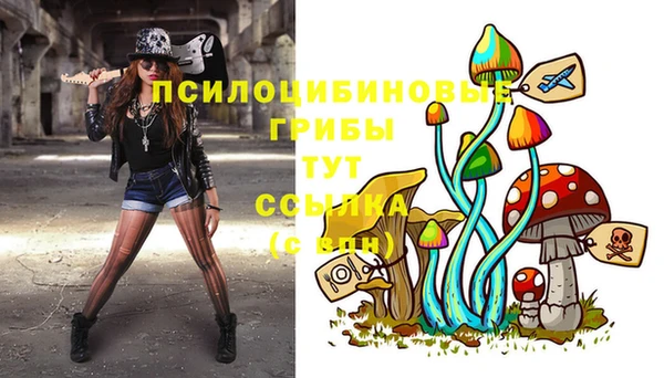 ПСИЛОЦИБИНОВЫЕ ГРИБЫ Армянск
