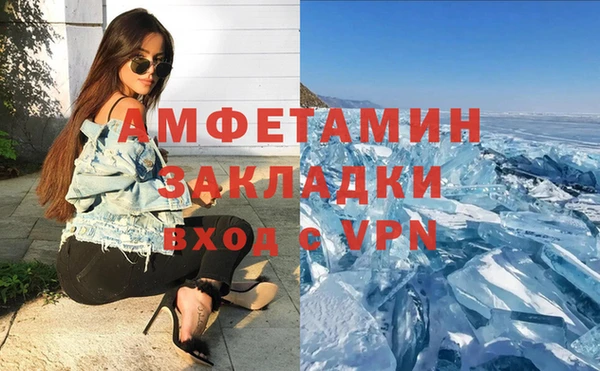 стаф Аркадак