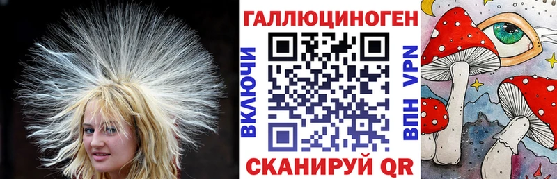 гидра Елабуга Галлюциногенные грибы Psilocybe