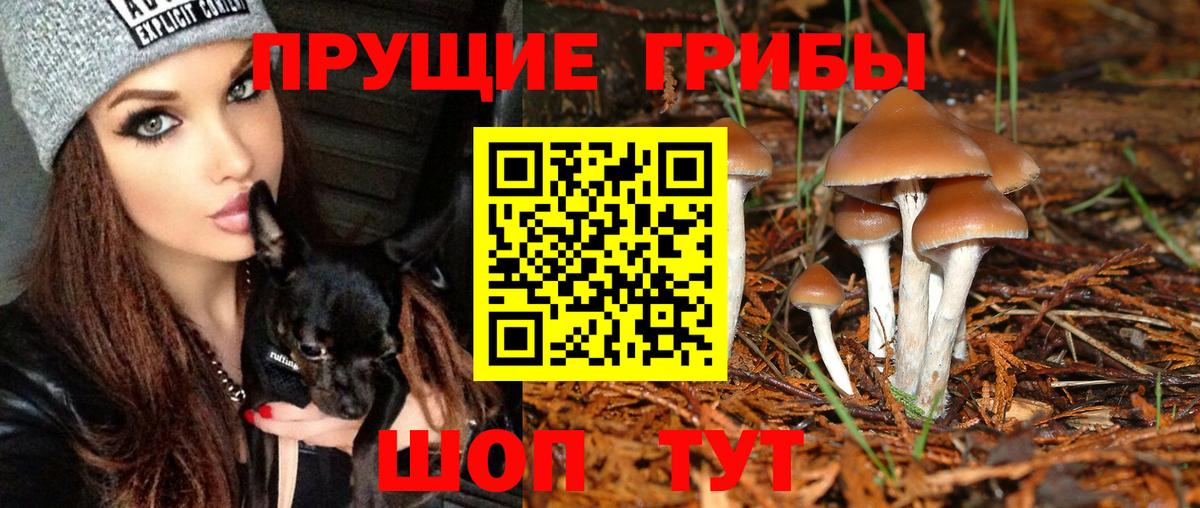 Псилоцибиновые грибы MAGIC MUSHROOMS  Вход с VPN  Елабуга  Галлюциногенные грибы GOLDEN TEACHER 